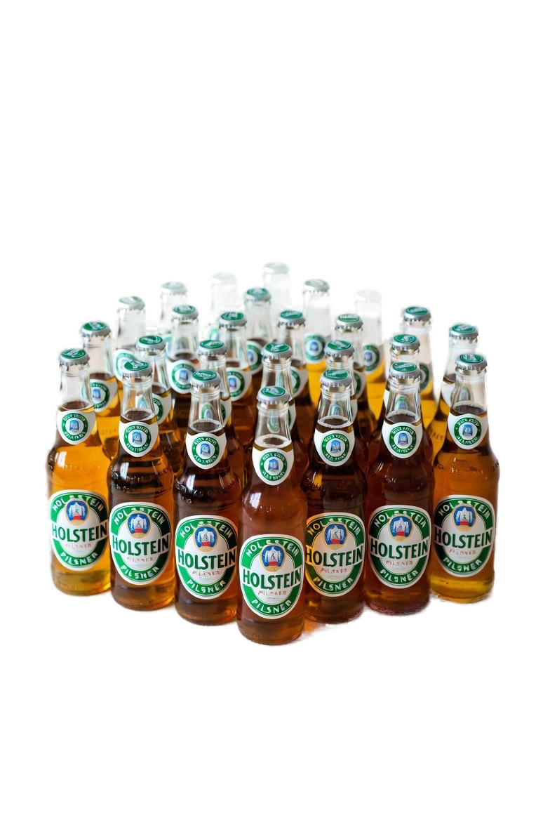 HOLSTEN PILS  440ML x24CANS